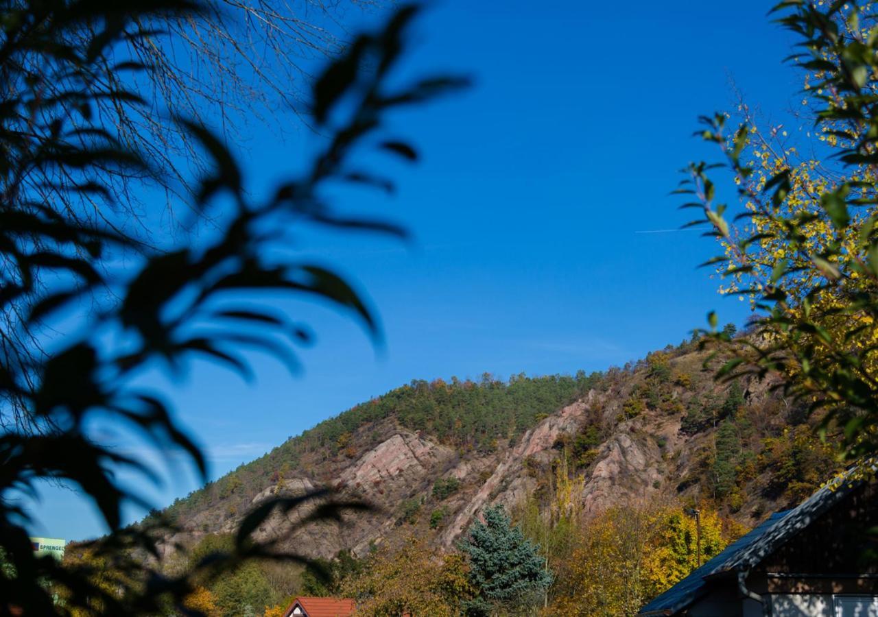 Hotel & Ferienwohnungen Bohlenblick Saalfeld Saale Екстер'єр фото