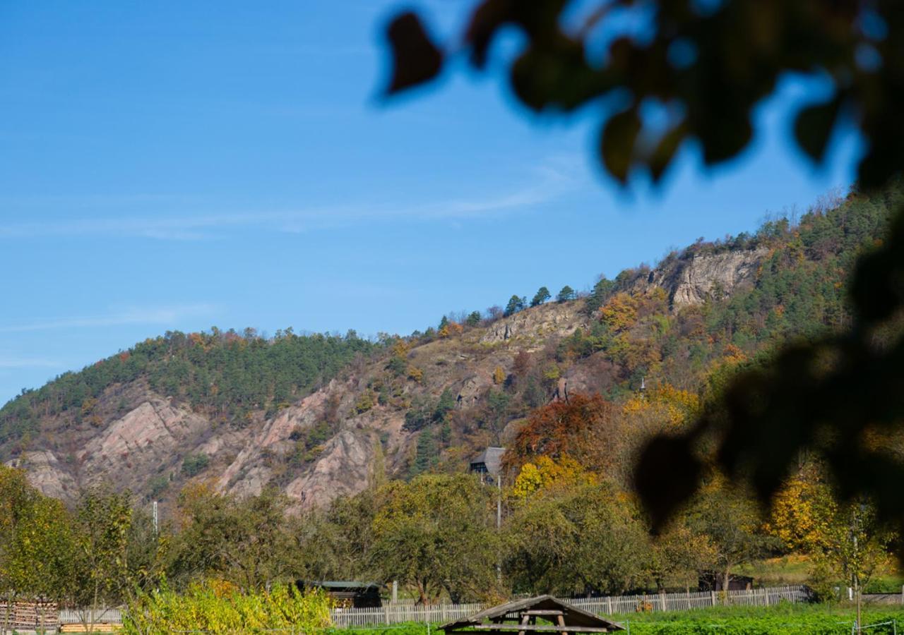 Hotel & Ferienwohnungen Bohlenblick Saalfeld Saale Екстер'єр фото